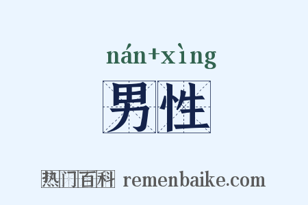 男性是什么意思的图片